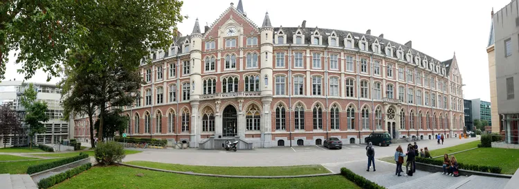 Pourquoi faire des études universitaires ?