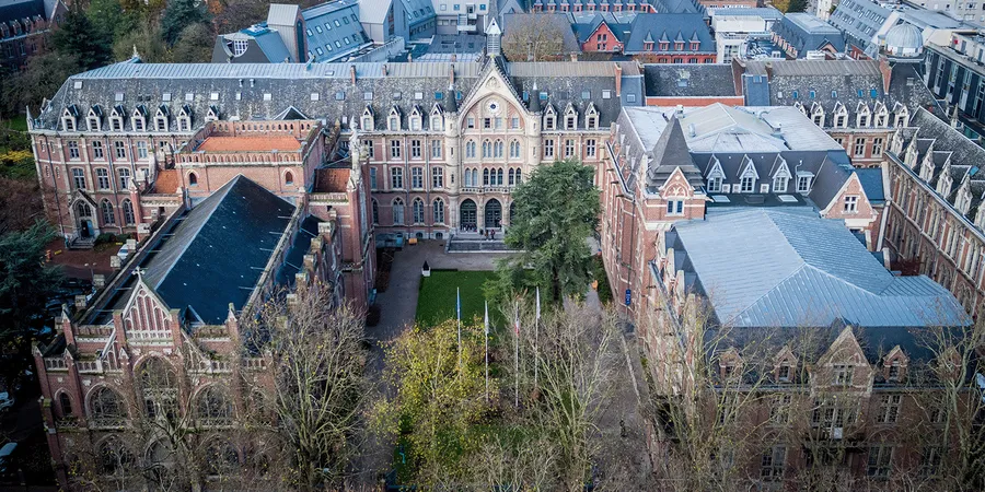 Pourquoi faire ses études à la faculté des Lettres et Sciences Humaines de l’Université Catholique de Lille ?