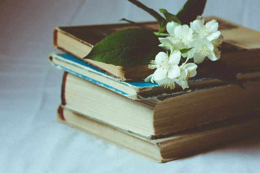 Que faut-il savoir sur la collection d’éditions originales et de livres rares ?